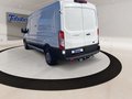 Daumennagel 17 - Ford Transit 350 L3 Trend FWD + Carplay + AHK