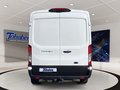 Daumennagel 19 - Ford Transit 350 L3 Trend FWD + Carplay + AHK
