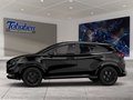 Daumennagel 3 - Ford Puma Titanium + Allwetter + Winterpaket