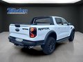 Daumennagel 5 - Ford Ranger Raptor + Raptor Paket