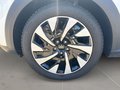 Daumennagel 9 - Ford Puma Titanium + Allwetter + Winterpaket