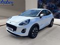 Daumennagel 17 - Ford Puma Titanium + Allwetter + Winterpaket