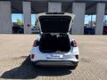 Daumennagel 21 - Ford Puma Titanium + Allwetter + Winterpaket