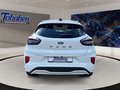Daumennagel 6 - Ford Puma Winter-Paket + Ganzjahresreifen