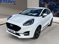 Daumennagel 1 - Ford Puma Winter-Paket + Ganzjahresreifen