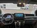 Daumennagel 27 - Ford Transit Custom Keyfree-System + Klima
