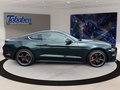 Daumennagel 6 - Ford Mustang Bullitt