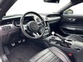 Daumennagel 10 - Ford Mustang Bullitt