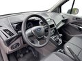 Daumennagel 2 - Ford Transit Connect Trend L2 Kasten + AHK + Kamera