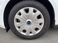 Daumennagel 10 - Ford Transit Connect Trend L2 Kasten + AHK + Kamera