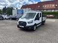 Daumennagel 1 - Ford Transit FT 350 (TTS) 2.0 TDCi DPF 350 L3 Trend F