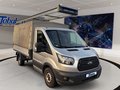 Daumennagel 3 - Ford Transit 310 L2 Einzelkabine Pritsche