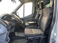 Daumennagel 9 - Ford Transit 310 L2 Einzelkabine Pritsche