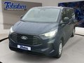 Daumennagel 1 - Ford Transit Custom Keyfree-System + Klima