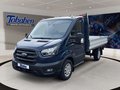 Daumennagel 1 - Ford Transit Pritsche 350 L2 Trend FWD