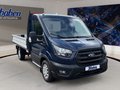 Daumennagel 3 - Ford Transit Pritsche 350 L2 Trend FWD