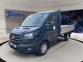 Daumennagel 17 - Ford Transit Pritsche 350 L2 Trend FWD