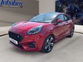 Daumennagel 17 - Ford Puma Panorama + Winter Paket + LED