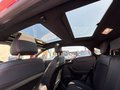 Daumennagel 26 - Ford Puma Panorama + Winter Paket + LED