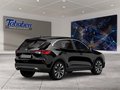Daumennagel 2 - Ford Kuga AHK + Fahrassistenz-Paket