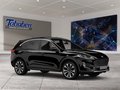 Daumennagel 7 - Ford Kuga AHK + Fahrassistenz-Paket