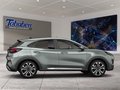 Daumennagel 6 - Ford Puma Titanium + Winter + Allwetter