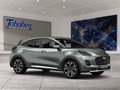 Daumennagel 7 - Ford Puma Titanium + Winter + Allwetter