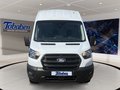 Daumennagel 2 - Ford Transit 350L3H3 Trend Kasten Express