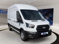 Daumennagel 3 - Ford Transit 350L3H3 Trend Kasten Express