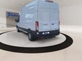 Daumennagel 7 - Ford Transit 350L3H3 Trend Kasten Express
