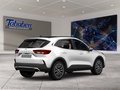 Daumennagel 2 - Ford Kuga Titanium + Winterpaket