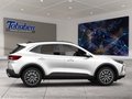 Daumennagel 6 - Ford Kuga Titanium + Winterpaket