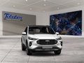 Daumennagel 8 - Ford Kuga Titanium + Winterpaket