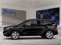 Daumennagel 3 - Ford Kuga Head-Up-Display + Panorama