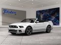 Daumennagel 1 - Ford Mustang Convertible 2.3 EcoBoost