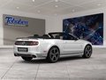 Daumennagel 2 - Ford Mustang Convertible 2.3 EcoBoost