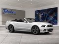 Daumennagel 7 - Ford Mustang Convertible 2.3 EcoBoost