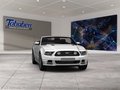 Daumennagel 8 - Ford Mustang Convertible 2.3 EcoBoost