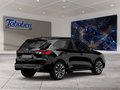 Daumennagel 2 - Ford Kuga 2.5 Duratec Plug-in-Hybrid PHEV ST-Line X (