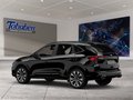 Daumennagel 4 - Ford Kuga 2.5 Duratec Plug-in-Hybrid PHEV ST-Line X (