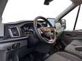 Daumennagel 13 - Ford Transit FT 350 (TTS) 2.0 TDCi DPF Mild-Hybrid 35