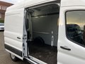 Daumennagel 19 - Ford Transit FT 350 (TTS) 2.0 TDCi DPF Mild-Hybrid 35