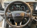 Daumennagel 26 - Ford Transit FT 350 (TTS) 2.0 TDCi DPF Mild-Hybrid 35