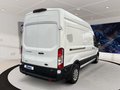 Daumennagel 5 - Ford Transit FT 350 (TTS) 2.0 TDCi DPF Mild-Hybrid 35