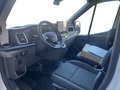 Daumennagel 10 - Ford E-Transit Kastenwagen Elektro 77kWh 350 L2 H2 Tr