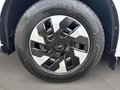 Daumennagel 9 - Ford Transit Custom Trend PHEV 320 L1