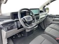 Daumennagel 10 - Ford Transit Custom Trend PHEV 320 L1