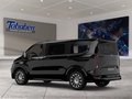 Daumennagel 4 - Ford Transit Custom Nugget Active