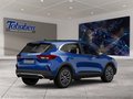 Daumennagel 2 - Ford Kuga Winter-Paket + Ganzjahresreifen