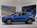 Daumennagel 3 - Ford Kuga Winter-Paket + Ganzjahresreifen